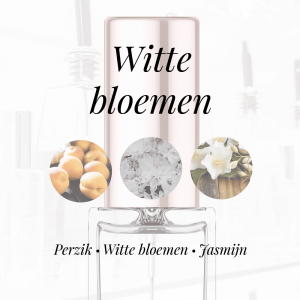 LA119 - Jasmijn|Perzik|Witte bloemen