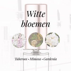 LA133 - Gardenia|Mimosa|Tuberoos