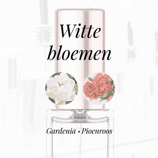 LA178 - Gardenia|Pioenroos