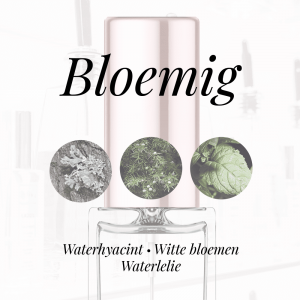 LA314 - Waterhyacint|Waterlelie|Witte bloemen