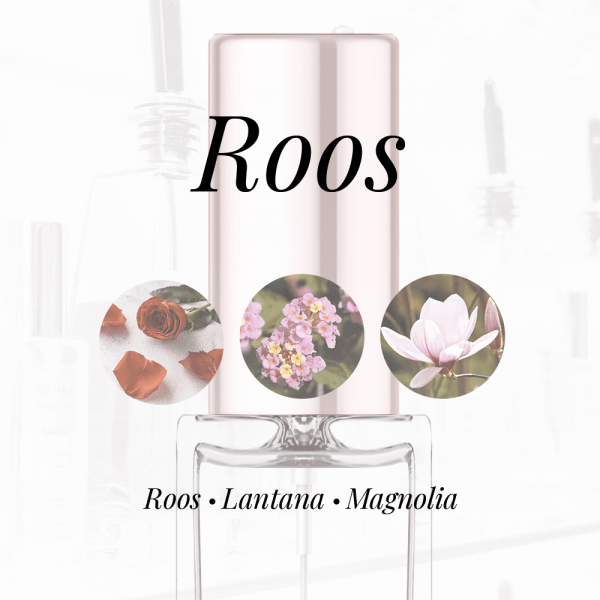 LA536 - Lantana|Magnolia|Roos