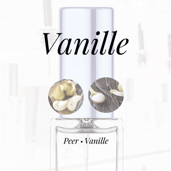 LE521 - Peer|Vanille