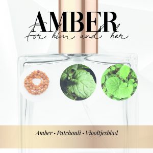 TN026 - Amber